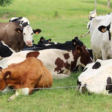 Arcaden Loft 아파트 Sint-Martens-Voeren