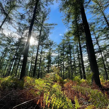 Arcaden Loft Sint-Martens-Voeren