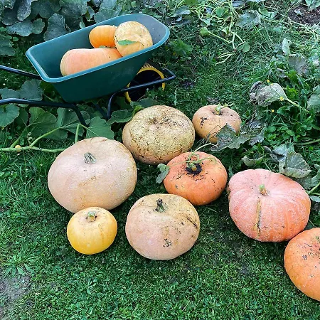 Arcaden Loft 아파트 Sint-Martens-Voeren