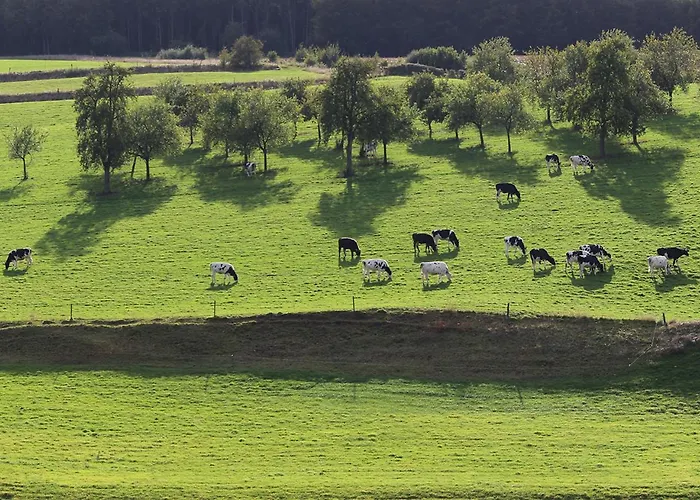 Lägenhet Arcaden Loft Sint-Martens-Voeren