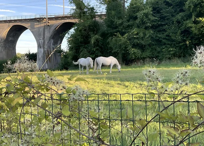 Arcaden Loft Lägenhet